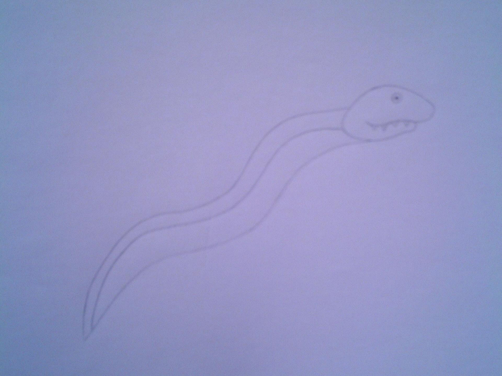 池田湖の未確認生物イッシーは実は異形のUMA？