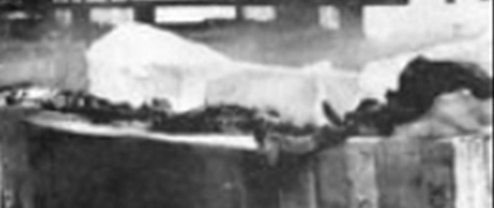 臆病なカナダの未確認生物キャディ！異彩を放つフォルム！