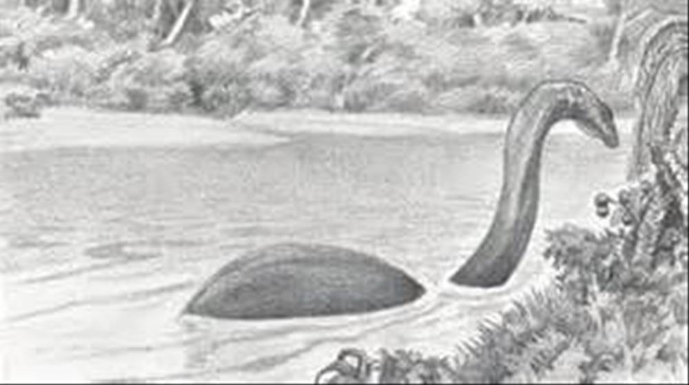 正に恐竜の生き残り？未確認生物モケーレムベンべ