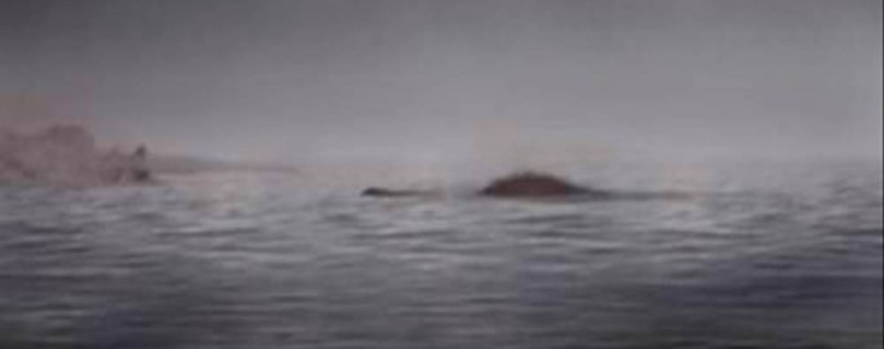 イギリス海峡に現れる大型のチャンネルクリーチャー