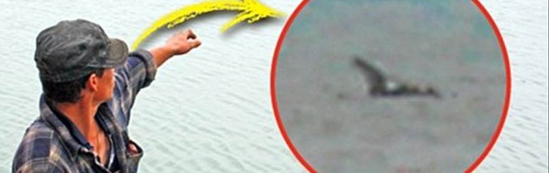 最凶に獰猛な未確認生物ネスキー