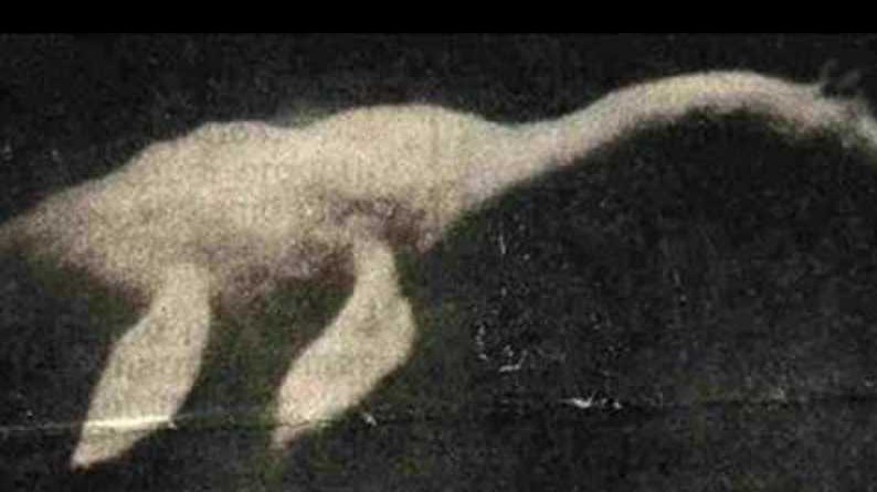 ニューヨークセネカ湖の未確認生物ネッキー