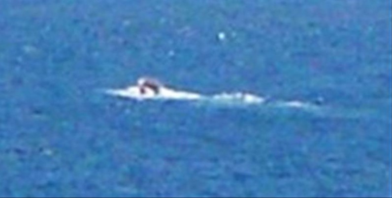 黒海に潜む巨大な未確認生物ブラッキー