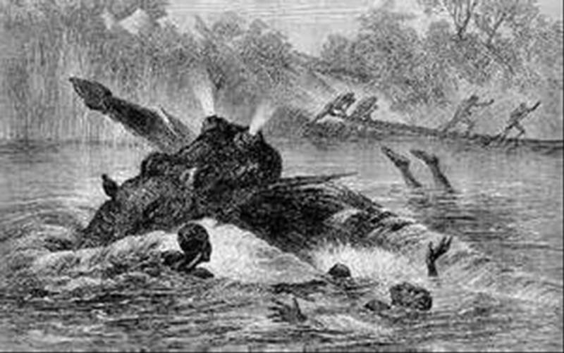 アフリカヴィクトリア湖の未確認生物ルクワタ