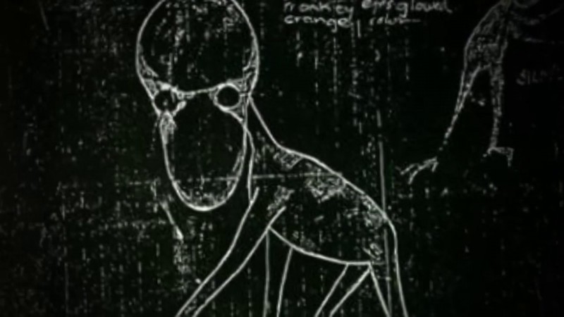 未確認生物か宇宙人か？ドーバーデーモン