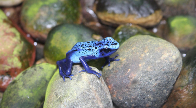 空から”あれ”が降ってくる！ファフロツキーズ現象