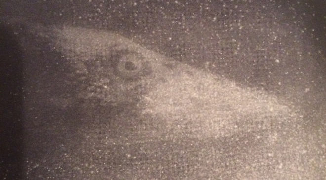 ネッシーは二種類いた！米軍が名付けたネスヒオドン