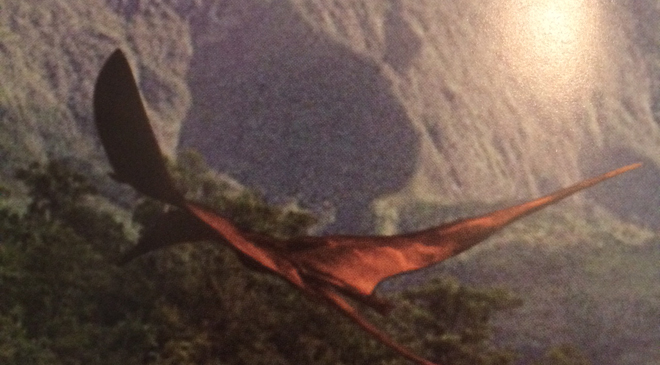 オランバッチと言う怪鳥がインドネシアにいる！