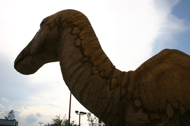 二つの湖で目撃されるUMAポニック