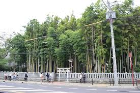 日本に実在する禁足地＆最恐心霊スポット「八幡の藪知らず」とは？入ると何が起こるのか！？